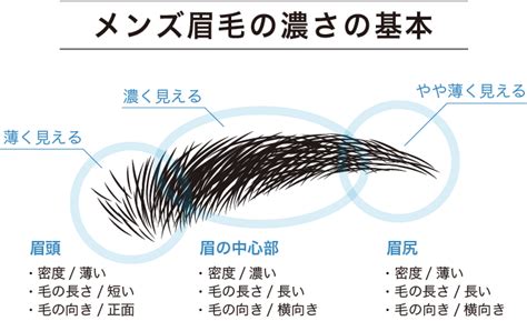 男性 眉毛 形|永久保存版｜メンズ眉毛の正しい整え方 2021